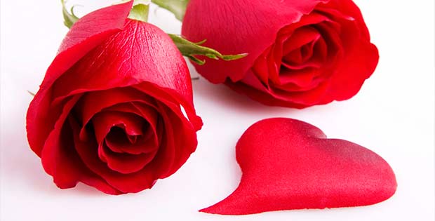 Amarre Casero Con Rosas